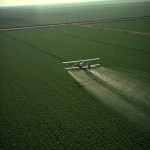 Pesticides